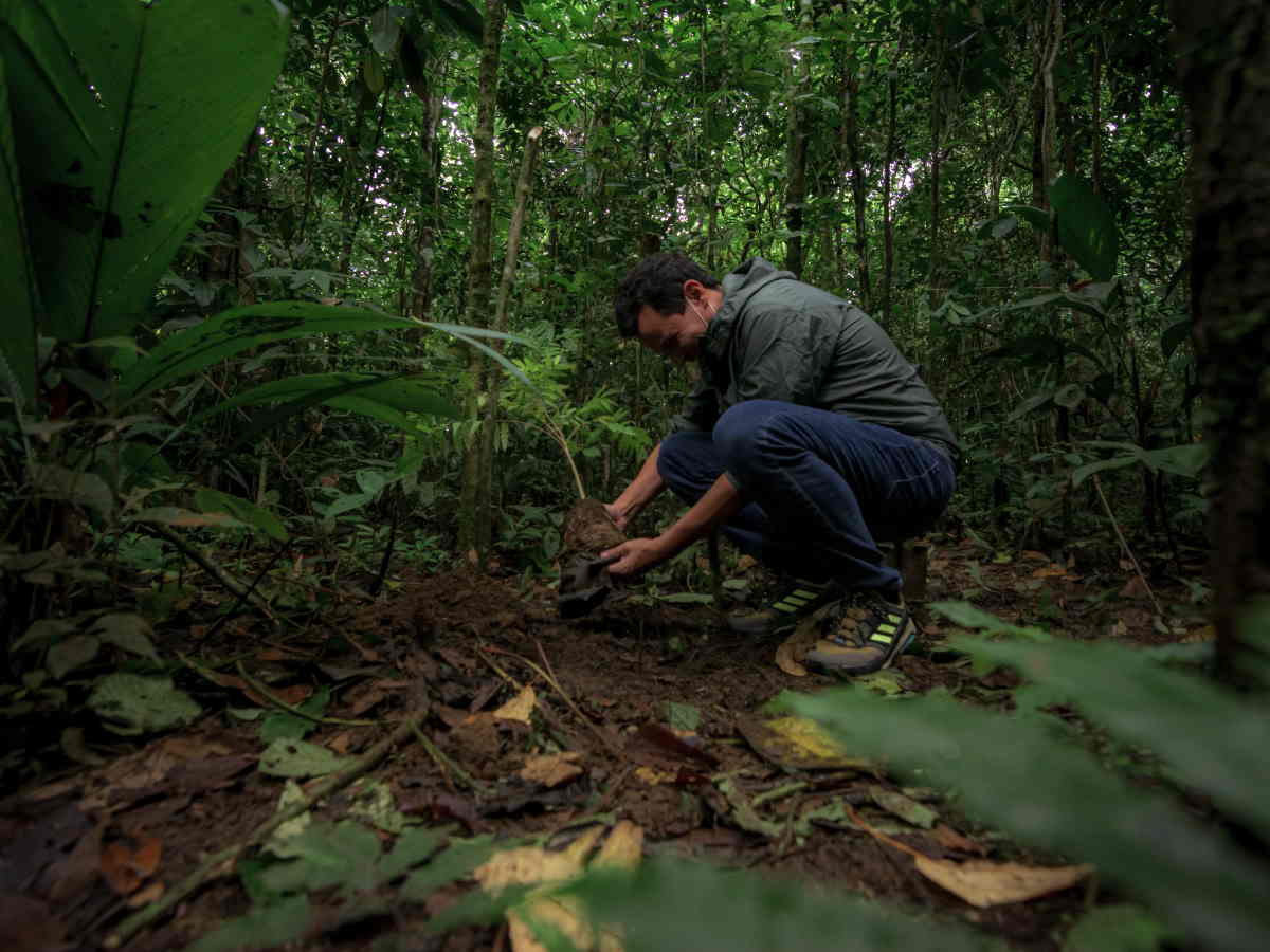 1. Andreas Villar, director del Clúster Regional de Biodiversidad y Cambio Climático de la Cooperación alemana para el desarrollo, GIZ. 