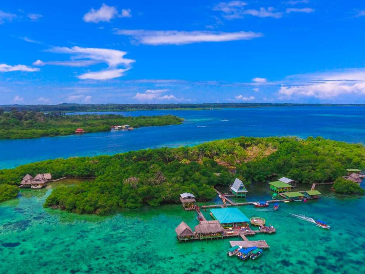 ATP/Revista Viajes Biodiversidad y vida silvestre hacen de Bocas del Toro en Panamá un paraíso caribeño.