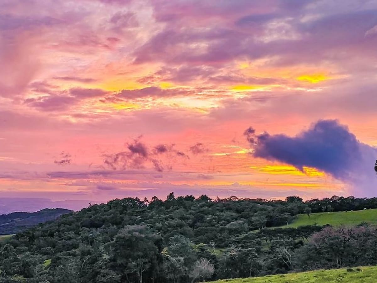 El distrito de Piedades Sur, en San Ramón de Alajuela, fue seleccionado como la única comunidad de Costa Rica para participar en el Upgrade Programme del prestigioso programa Best Tourism Villages de la ONU Turismo.