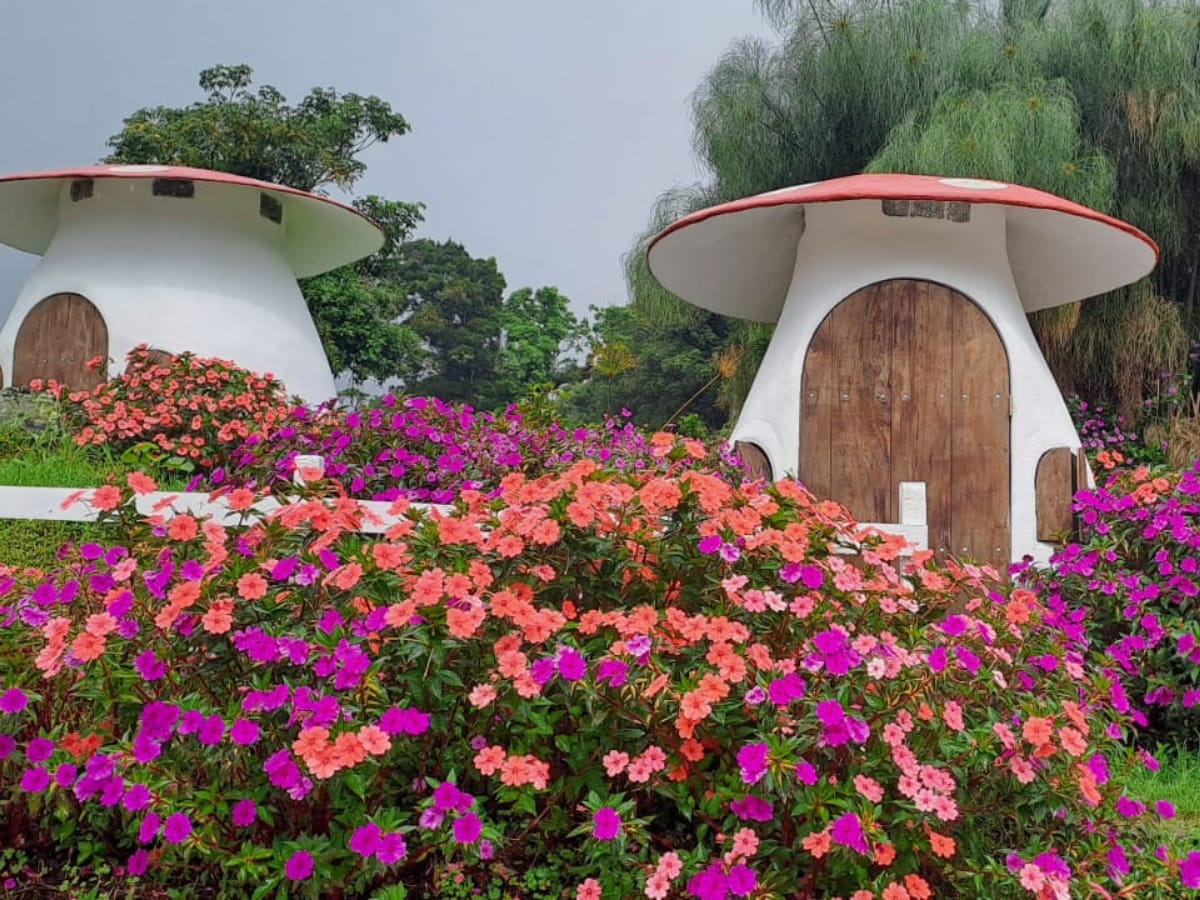Este destino emergente ubicado en la Zona Norte de Costa Rica invita al mundo a descubrir su auténtico encanto, un lugar donde la calidez de su gente y su compromiso con el desarrollo sostenible marcan la diferencia.