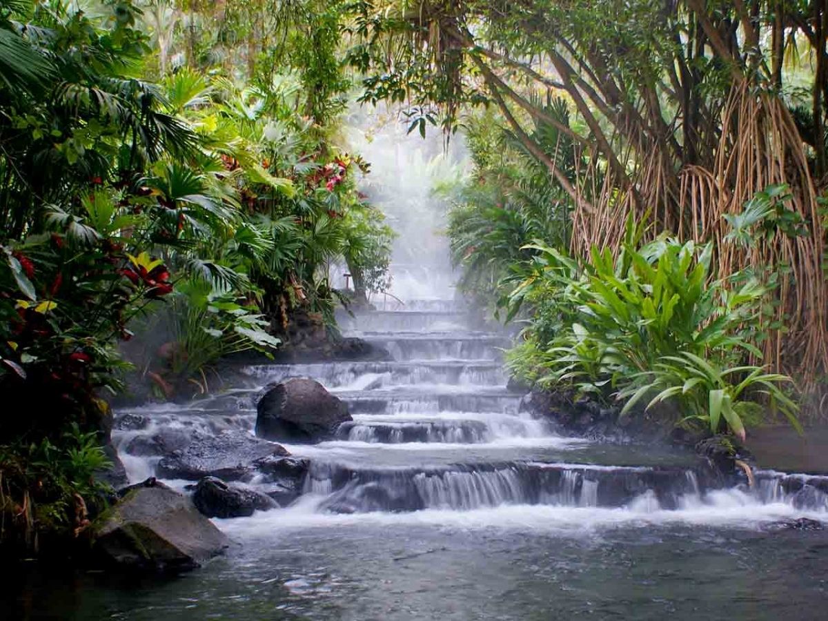 eresita Van Strate, delegada argentina para Termatalia ofreció una mirada profunda sobre el papel que Costa Rica puede desempeñar en el desarrollo del turismo de salud y bienestar. Partiendo de una refl exión histórica, resaltó cómo desde tiempos antiguos el ser humano ha buscado en la naturaleza alivio para sus dolencias. 