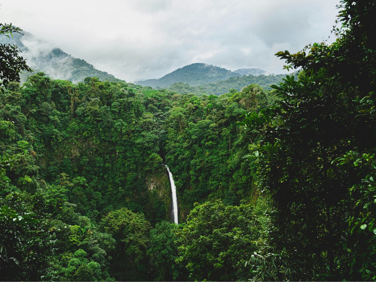 La Fortuna se ha consolidado como uno de los destinos más atractivos para viajar solo, especialmente para quienes buscan naturaleza y aventura en un entorno accesible.