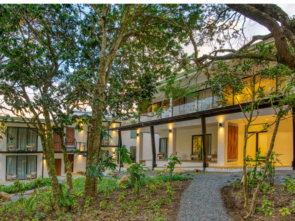 Cada detalle del hotel respira Monteverde con una propuesta de lujo consciente, arte local y respeto profundo por la naturaleza.