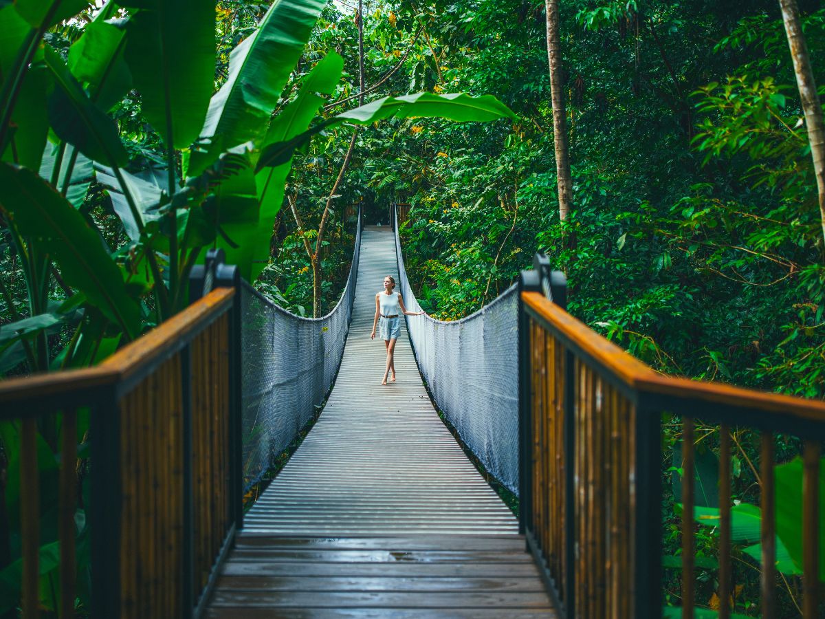 Nayara Resorts, un referente en hospitalidad de lujo en Costa Rica, ha obtenido la certificación de Carbono Neutralidad otorgada por FONAFIFO (Fondo Nacional de Financiamiento Forestal de Costa Rica). Este logro subraya el firme compromiso del complejo hotelero con la sostenibilidad y su dedicación a operar de manera responsable con el ambiente.