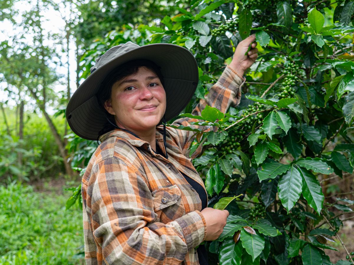 Desde 2014, el Plan Nescafé de Nestlé ha formado gratuitamente a más de 35 mil jóvenes en Centroamérica en prácticas agrícolas responsables, barismo o catación.