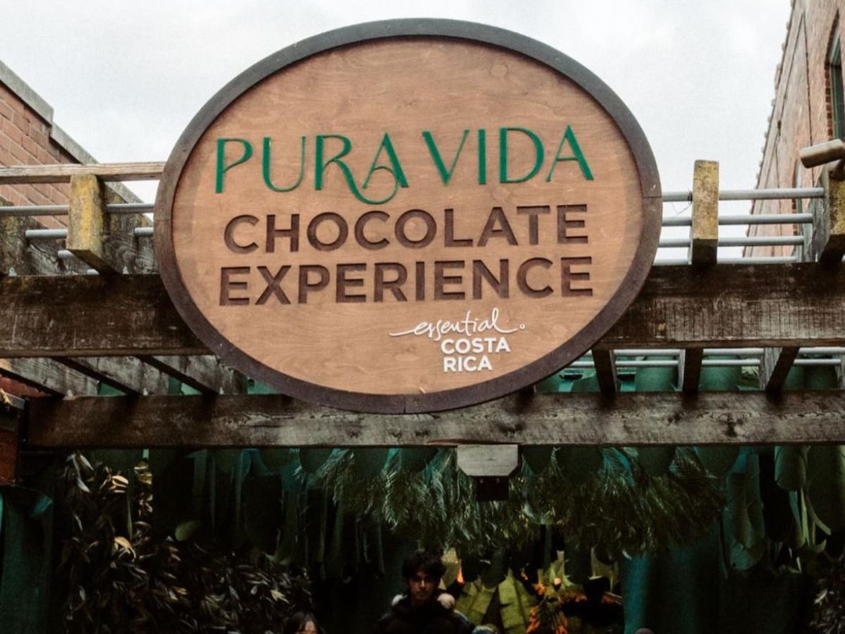 Con imágenes de la biodiversidad, animales de la fauna costarricense y paisajes inolvidables un grupo de “tranvías ticos” que recorren la ciudad de Toronto.