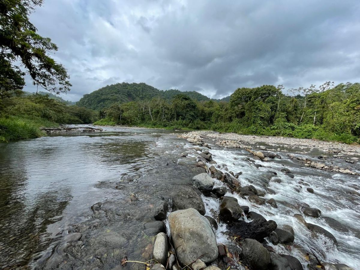Reducirá tiempos de viaje entre destinos clave como La Fortuna, Monteverde y Guanacaste y facilitará el acceso a zonas turísticas emergentes como el Castillo.