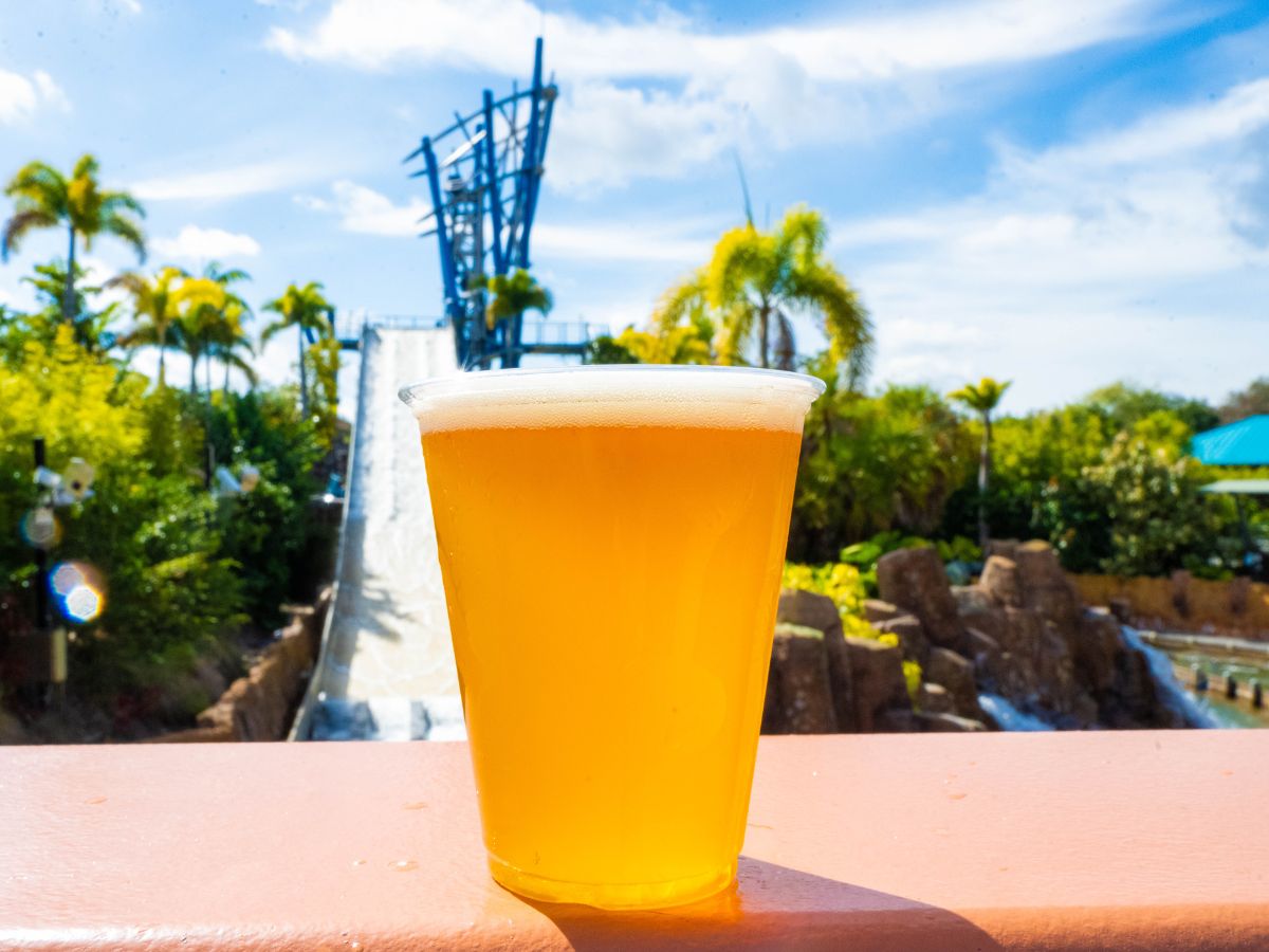 Para celebrar el año nuevo, SeaWorld Orlando se complace en anunciar una oferta exclusiva por tiempo limitado que sin duda encantará a los visitantes. Hasta el 31 de enero de 2026, los visitantes de 21 años o más pueden disfrutar de 1 cerveza de cortesía por visita.