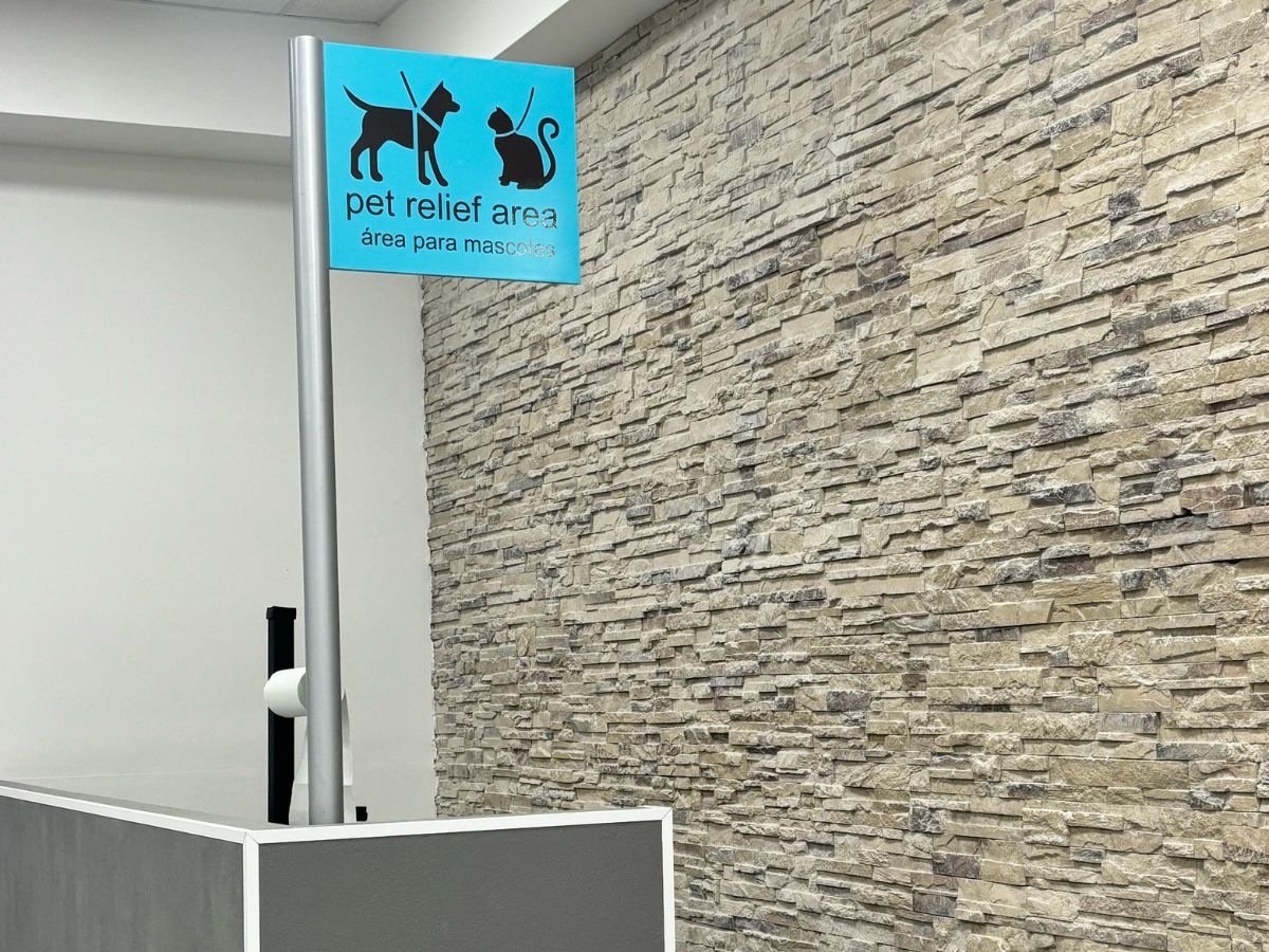 Guanacaste Aeropuerto alcanzó su cuarto año consecutivo de crecimiento en el turismo pet-friendly.