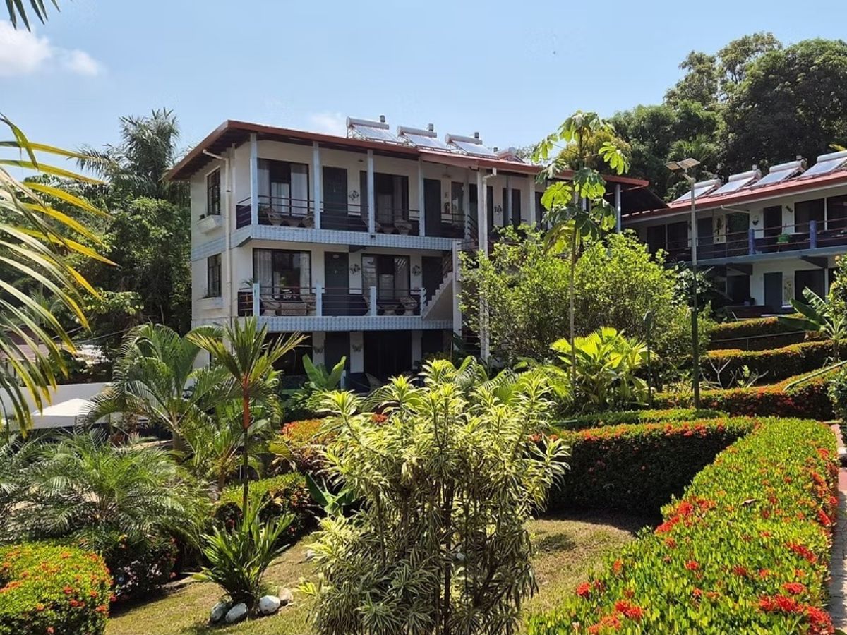Organizan II Encuentro de Arte Nacional en Playa Manuel Antonio