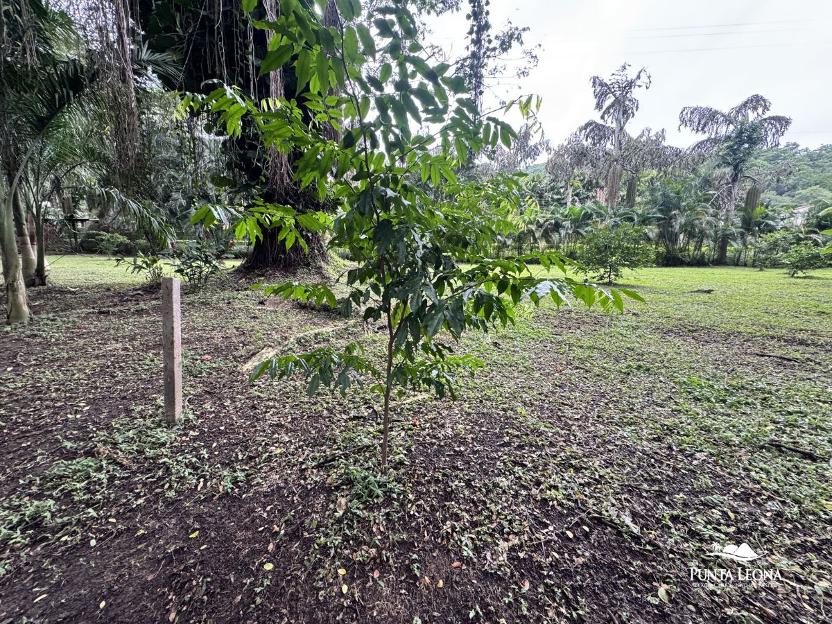 Punta Leona convierte su vivero en un “banco de vida de regeneración” para impulsar la biodiversidad del territorio
