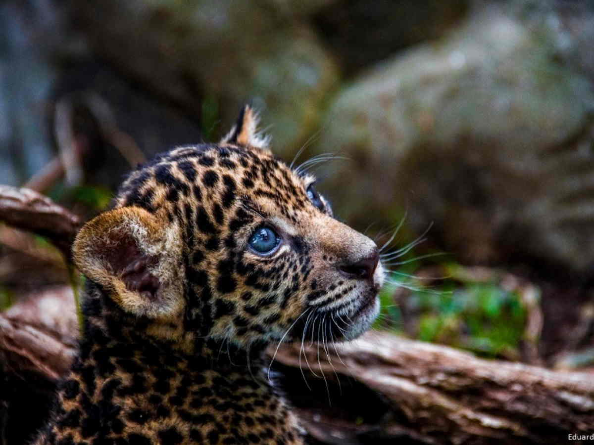 Crédito de foto: Programa de las Naciones Unidas para el Medio Ambiente.