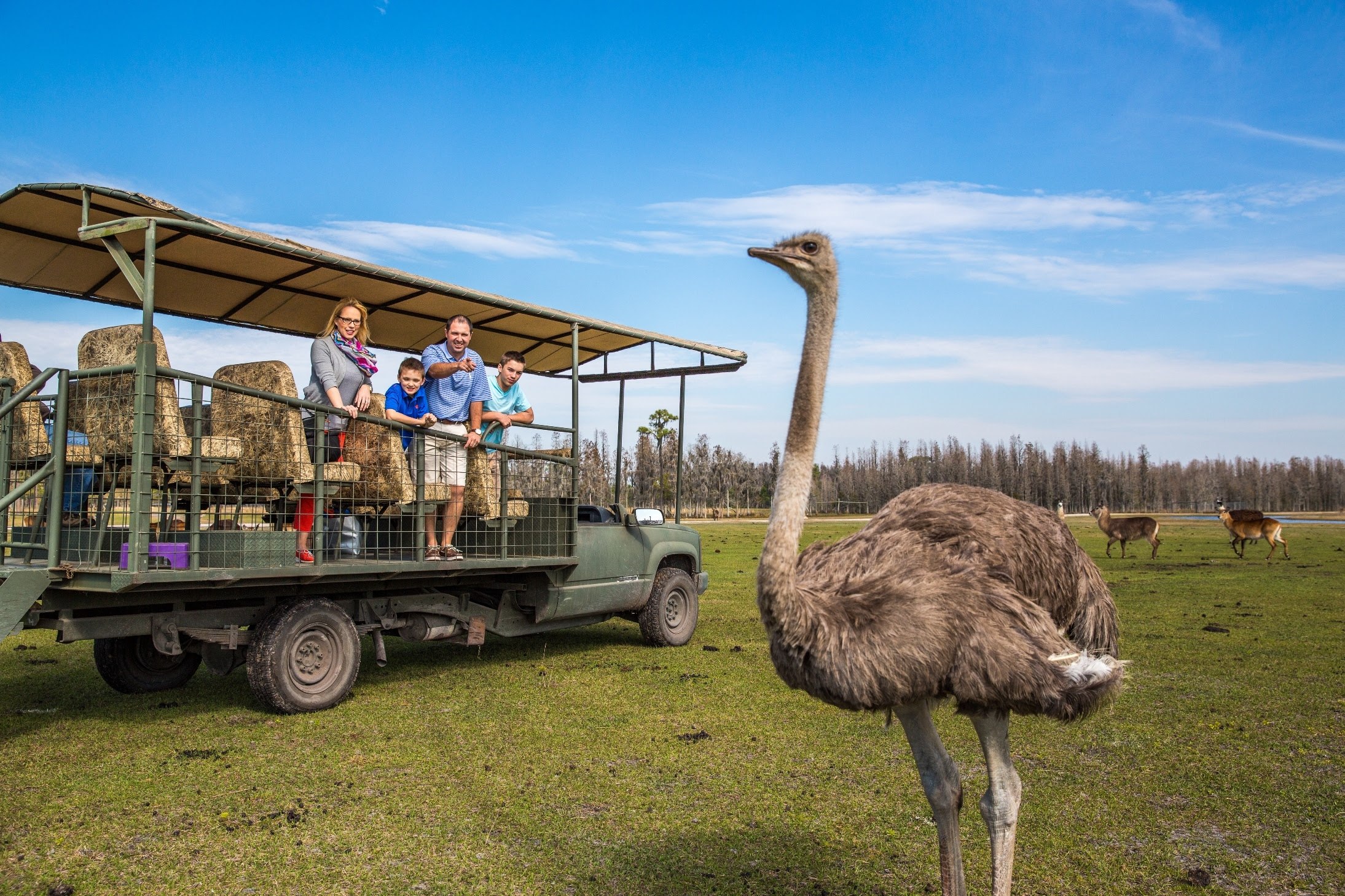 safari tour orlando