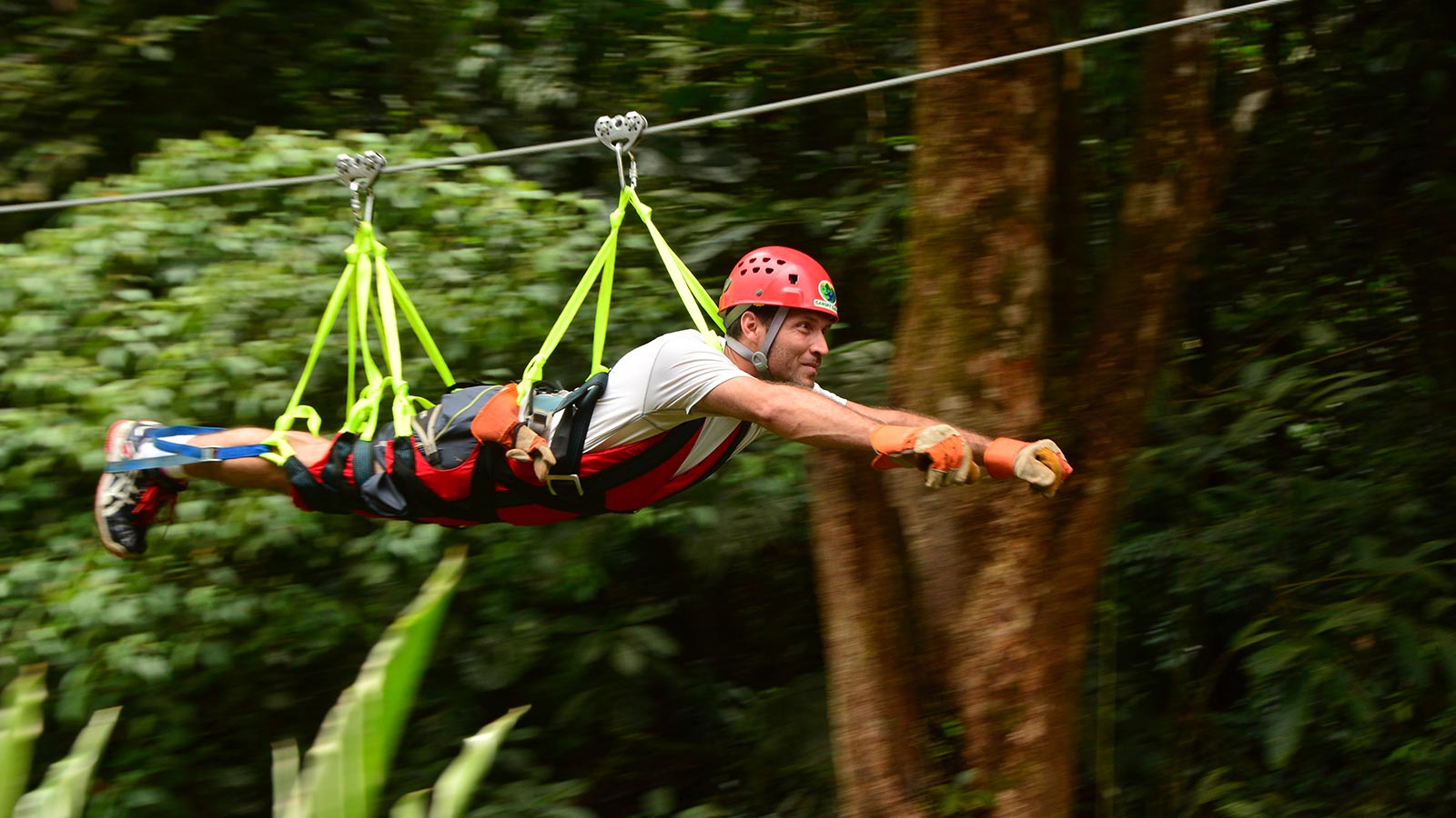 Resistencia, emoción, aventura y más... ¡le espera en Canopy Safari! 